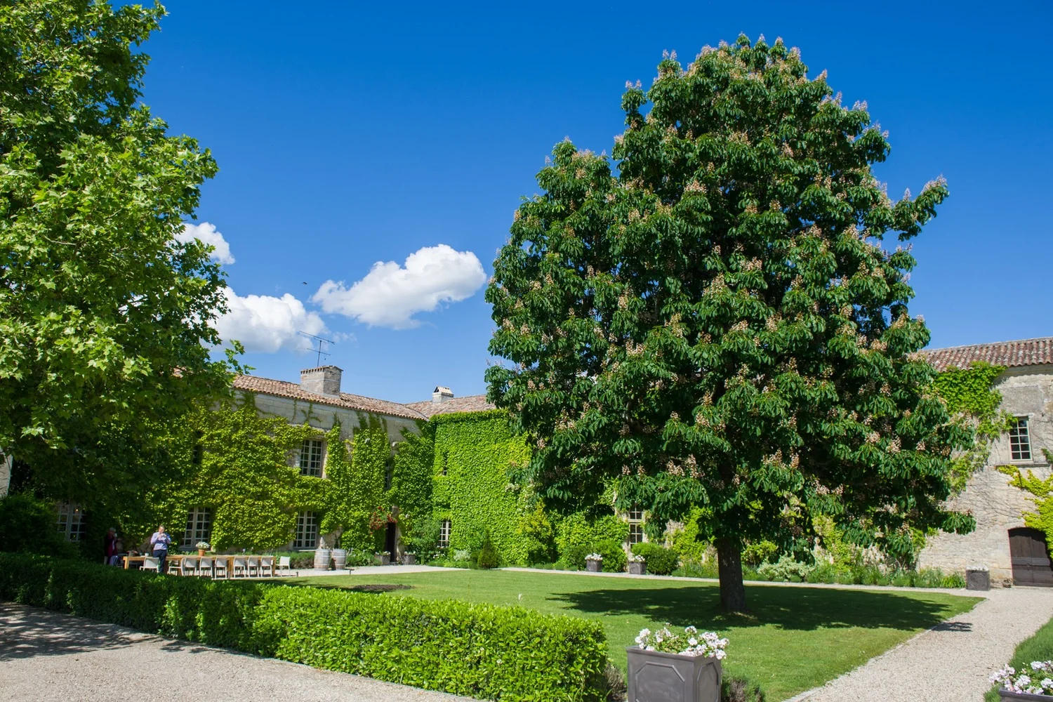 Château Rigaud